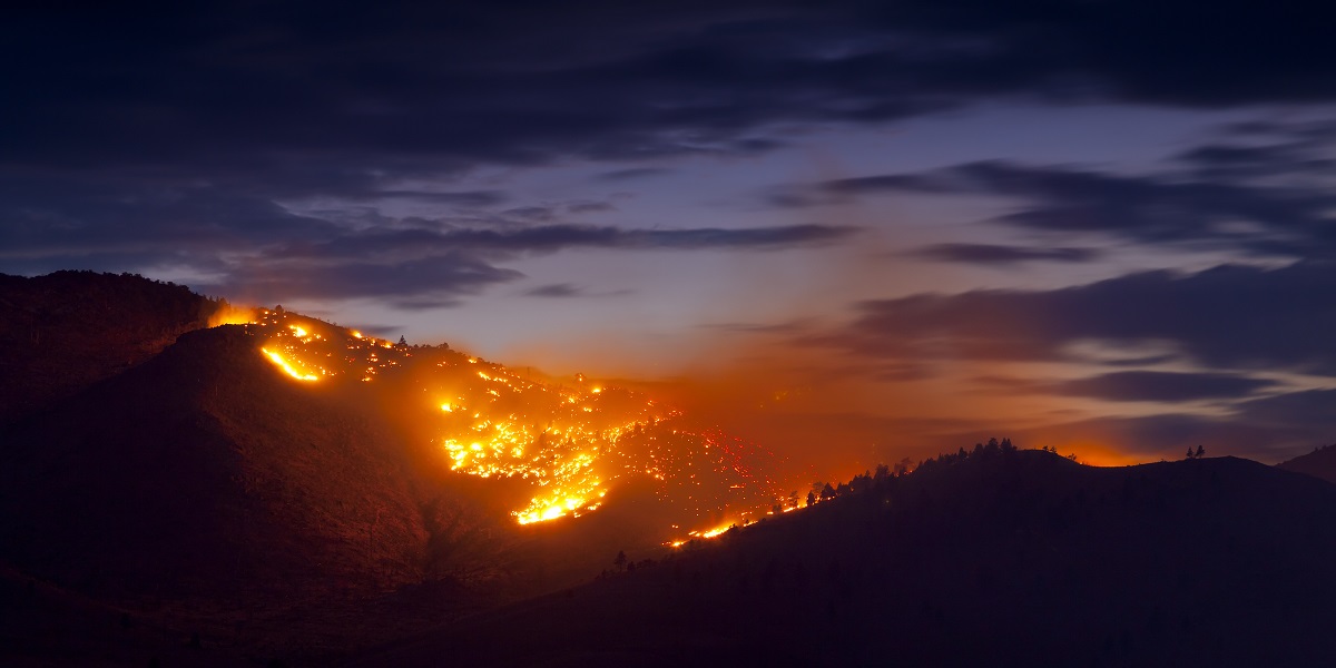 Fire, Wildfire