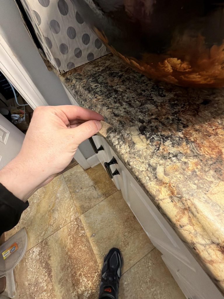 professional mold remediation. emergency removal of green mold 