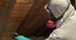 mold remediation bucks county
