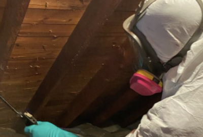 mold remediation bucks county