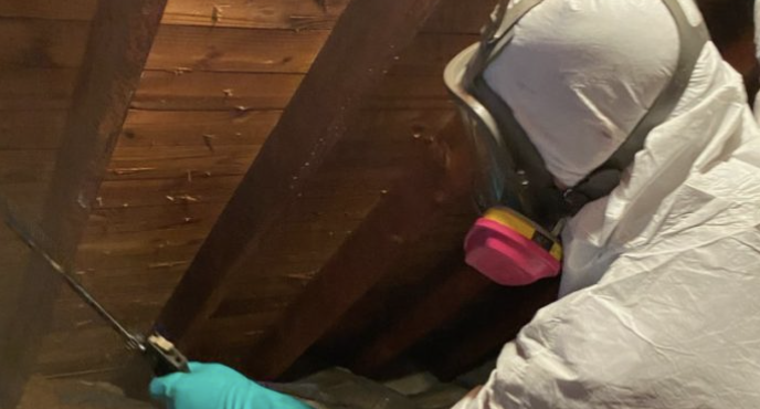 mold remediation bucks county