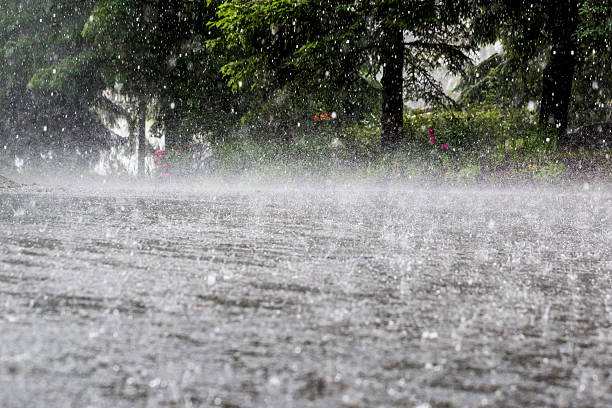 Heavy rain creates ripples on a flooded surface, with blurred trees and colorful flowers in the background.