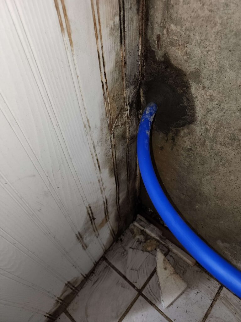 A blue pipe runs from a severely water-damaged corner with moldy walls and dirty