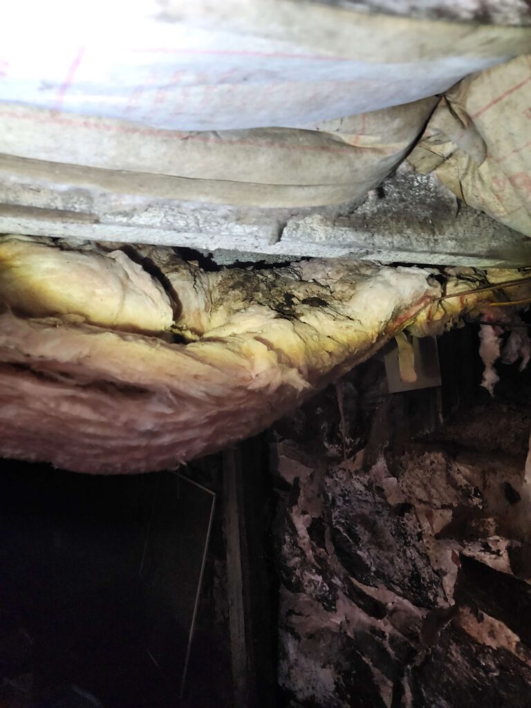 Damp, discolored fiberglass insulation with dark mold growth in a cramped, poorly lit space.