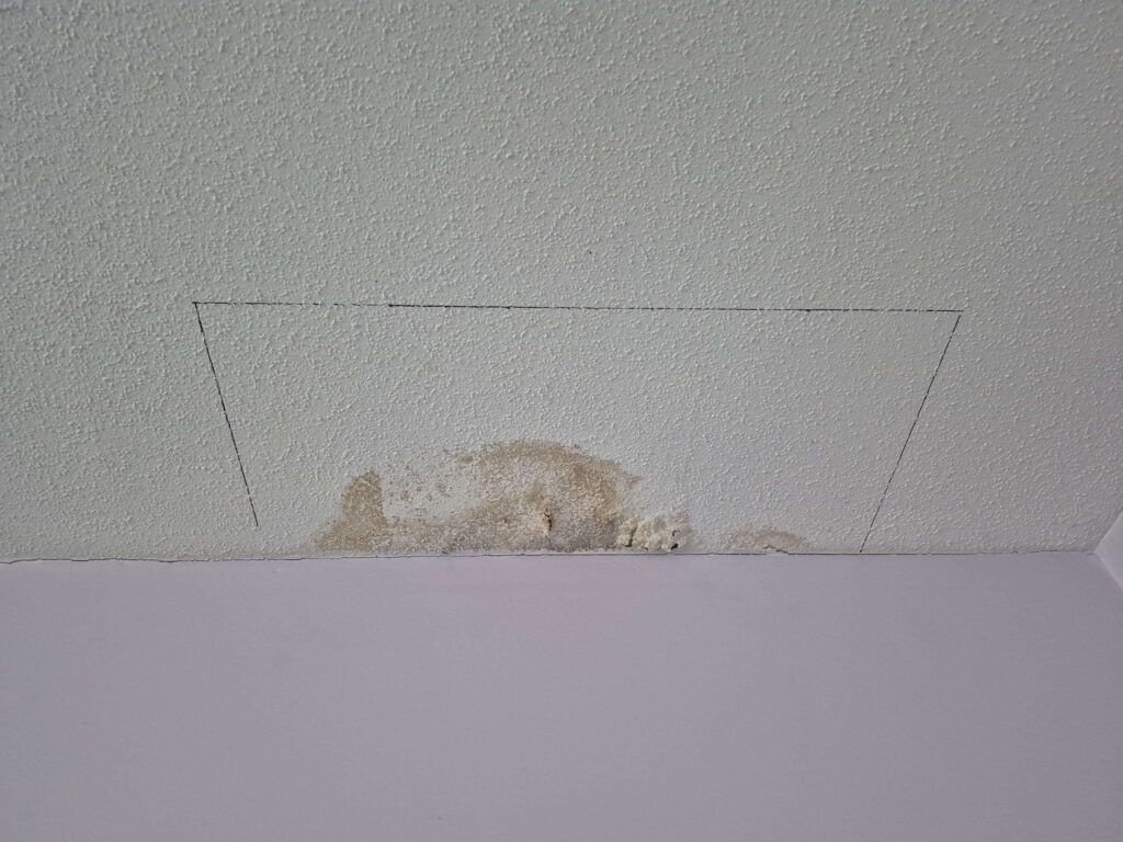Brown water stains and peeling paint mark a textured white ceiling, outlined for repair.