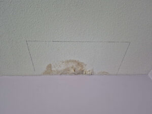 Brown water stains and peeling paint mark a textured white ceiling, outlined for repair.