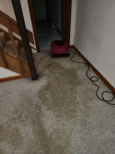 A red industrial fan is drying a large, dark wet stain on a light beige carpet next