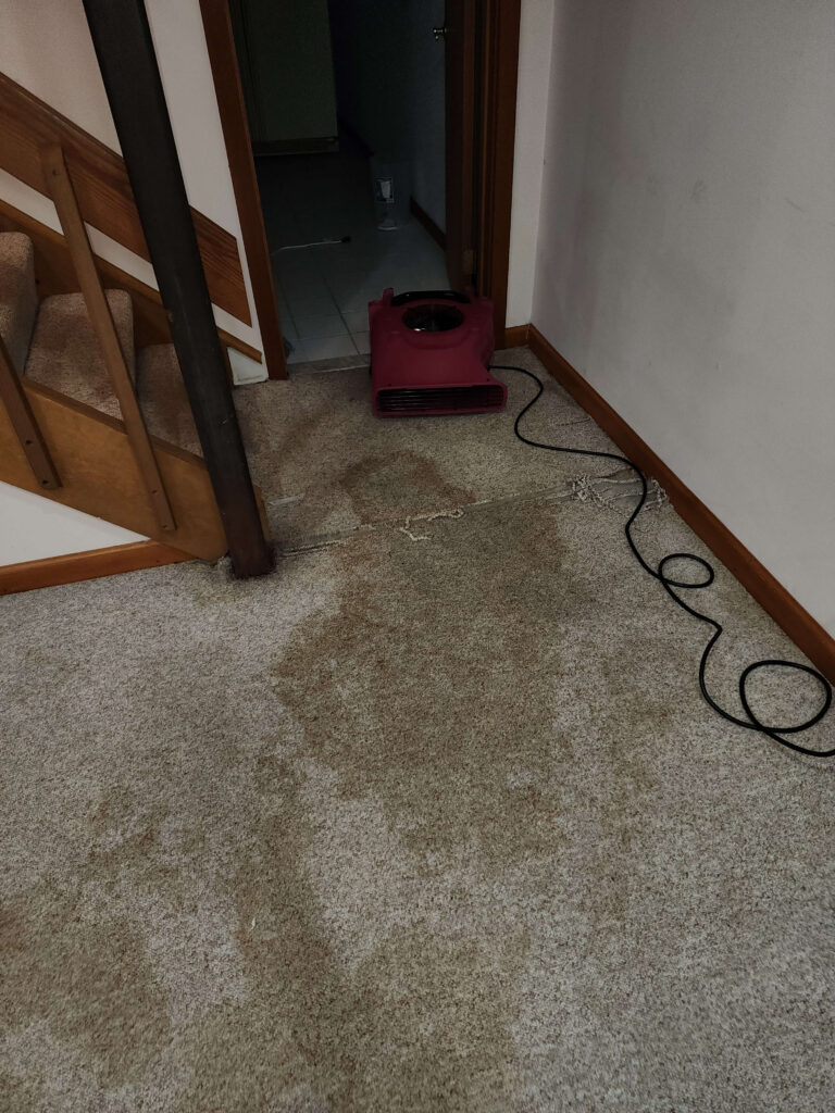 A red industrial fan is drying a large, dark wet stain on a light beige carpet next