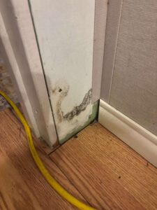 A white wall shows severe black mold growth near the baseboard and wooden floor. TITLE: