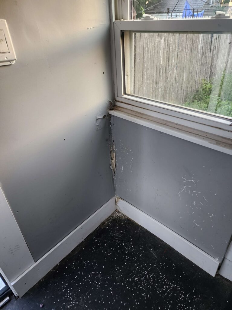 Severe peeling gray paint and dirt cover a room corner with a window and black floor. TITLE