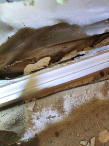 Close-up of pest damage revealing a white trim, chewed wood, and granular debris