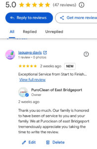 Google reviews for PuroClean of East Bridgeport show a 5-star rating and the owner