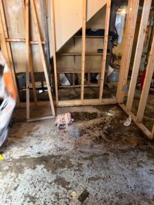 A utility basement under construction with exposed wooden framing and a noticeably wet, dirty concrete
