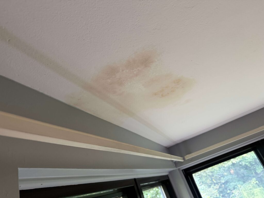 A white ceiling shows significant brown and yellow water stains above a grey wall and windows