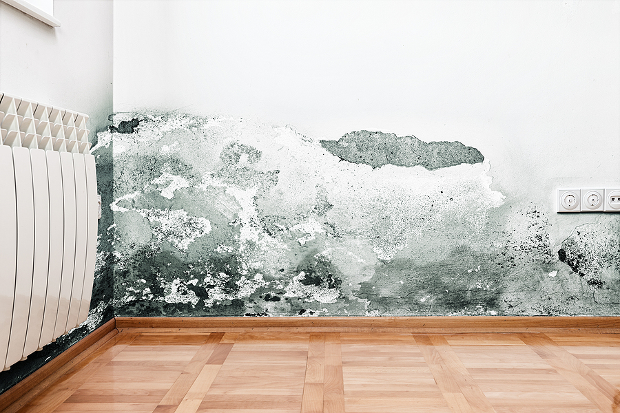What to Do if You Have Water Damage in Your Home