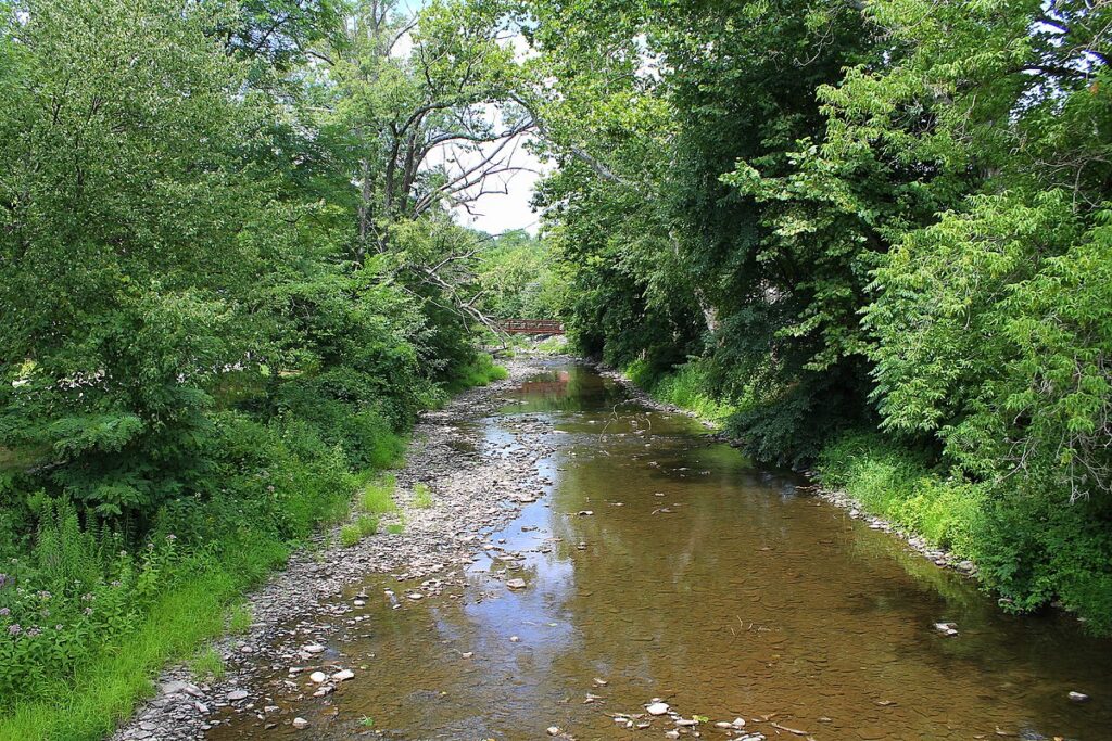 Water, Fire and Mold Restoration in Martins Creek, PA