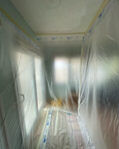  containment for mold removal 