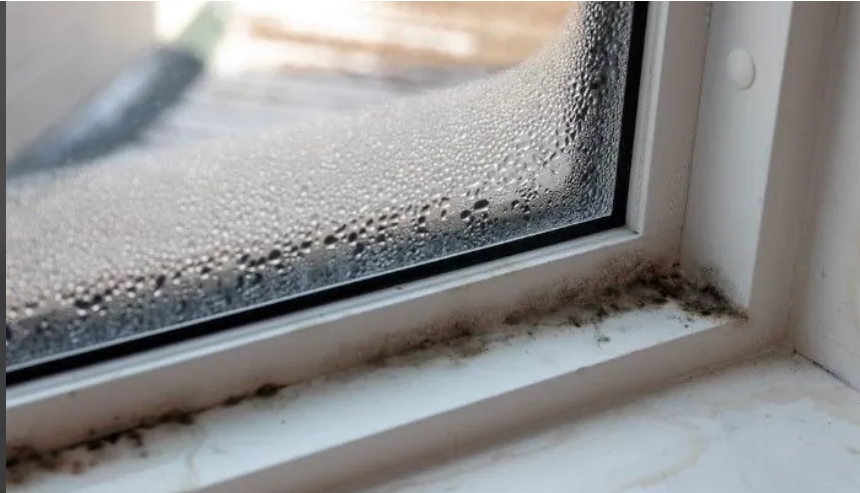 Condensation on a window seal
