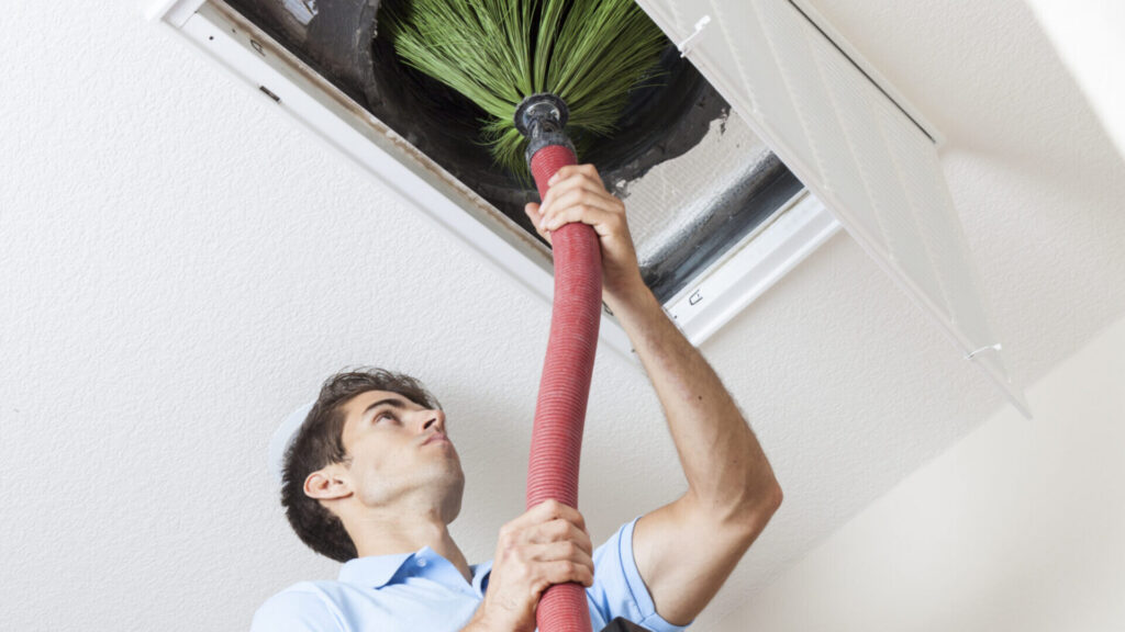 mold in your air duct