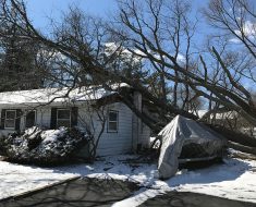 Tree damaged home before reconstruction by PuroClean Elkton MD