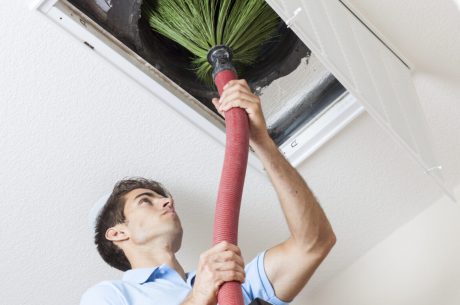 mold in your air duct