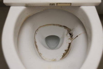 Mold in the Toilet