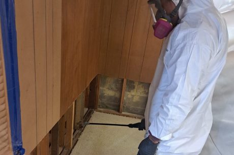 mold remediation in Eugene