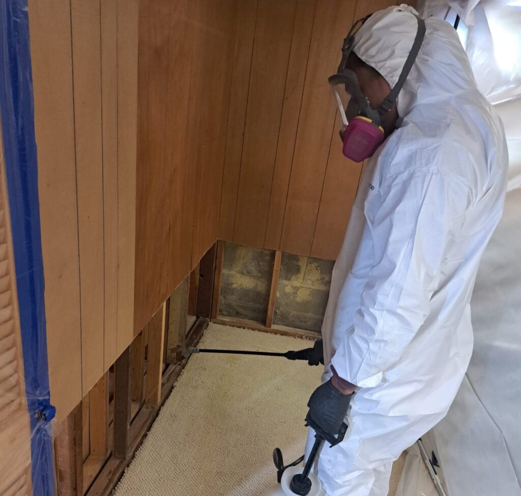 mold remediation in Eugene
