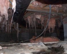 Subfloor damage before water damage remediation by PuroClean Disaster First Response Fayetteville NC