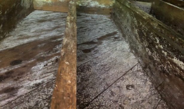 Mold growing on wood before mold damage remediation by PuroClean Restoration Services Fort Payne AL