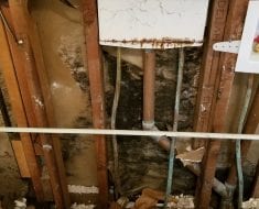 Mold Cleanup