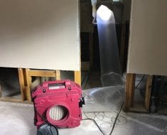 Mold Cleanup