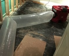 Mold Cleanup