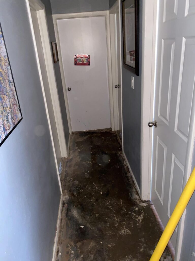 Different areas of the house were affected by water damage