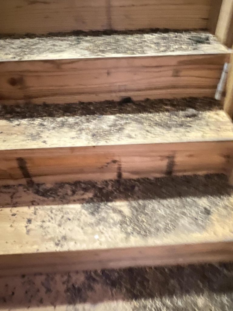 The rats affected the entire barn. Biohazard.