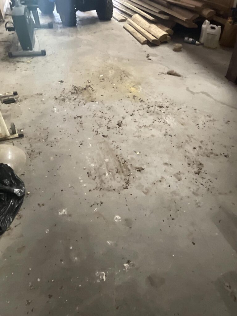A rat-infested barn calls for biohazard cleanup.