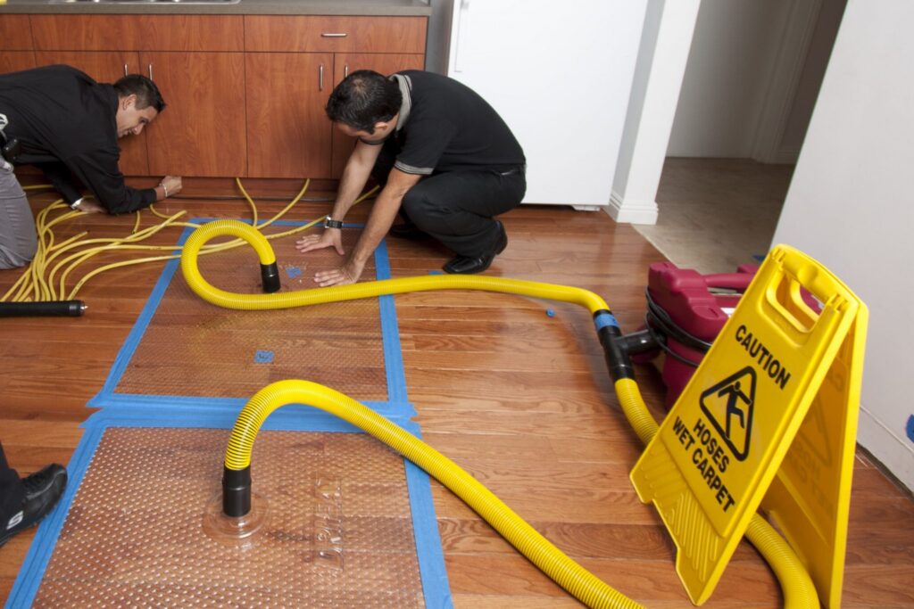 clean up water damage