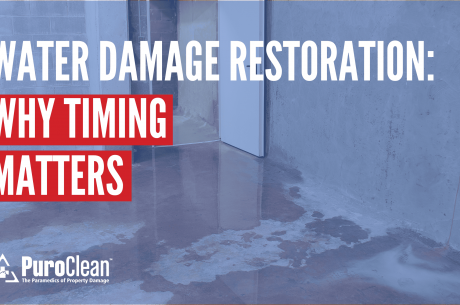 Water Damage Restoration in Frisco: Why Timing Matters