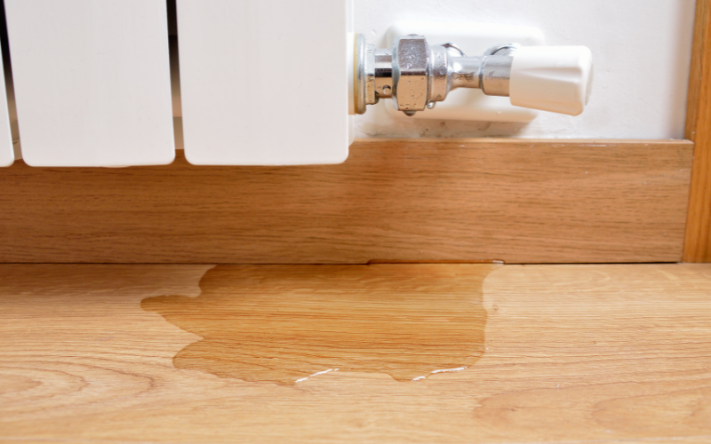 puddle of water on wooden floor