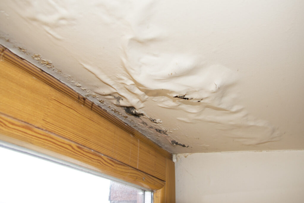 Water damage on a ceiling near a window, showing peeling paint and mold growth.