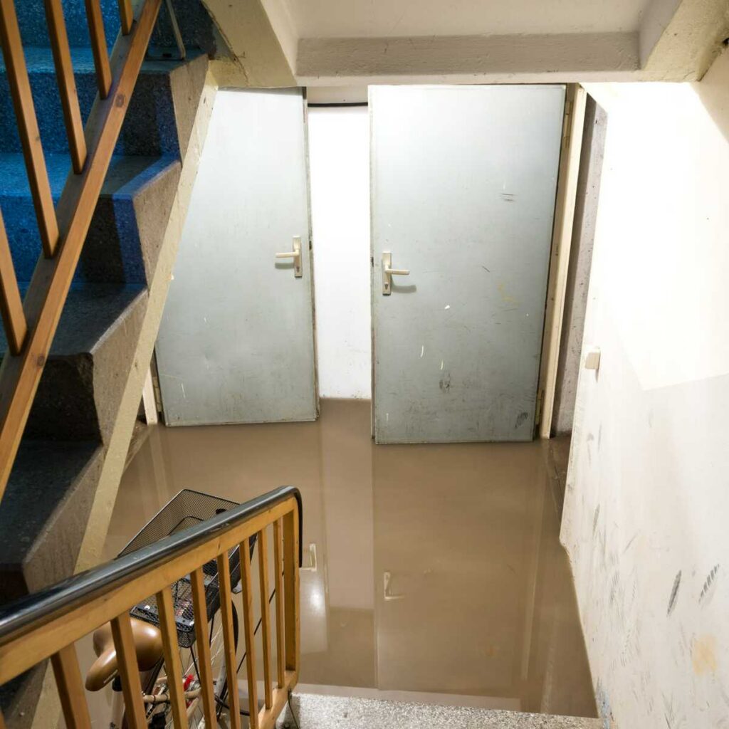 water damage clean up