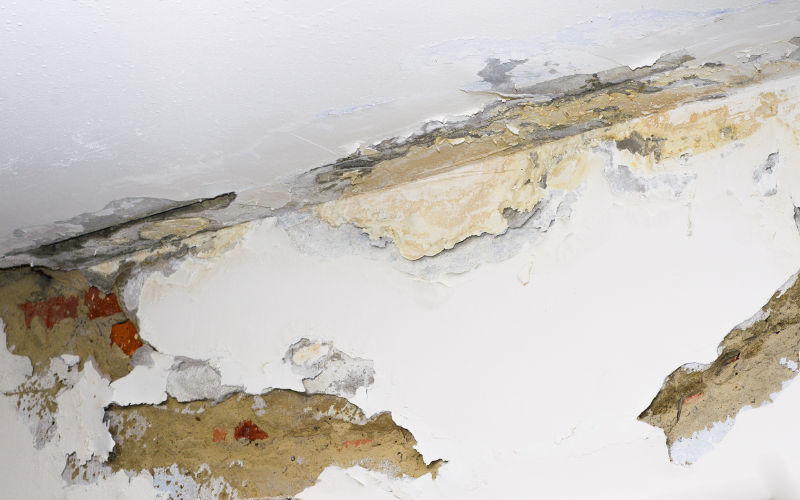 water damage on the wall in a house