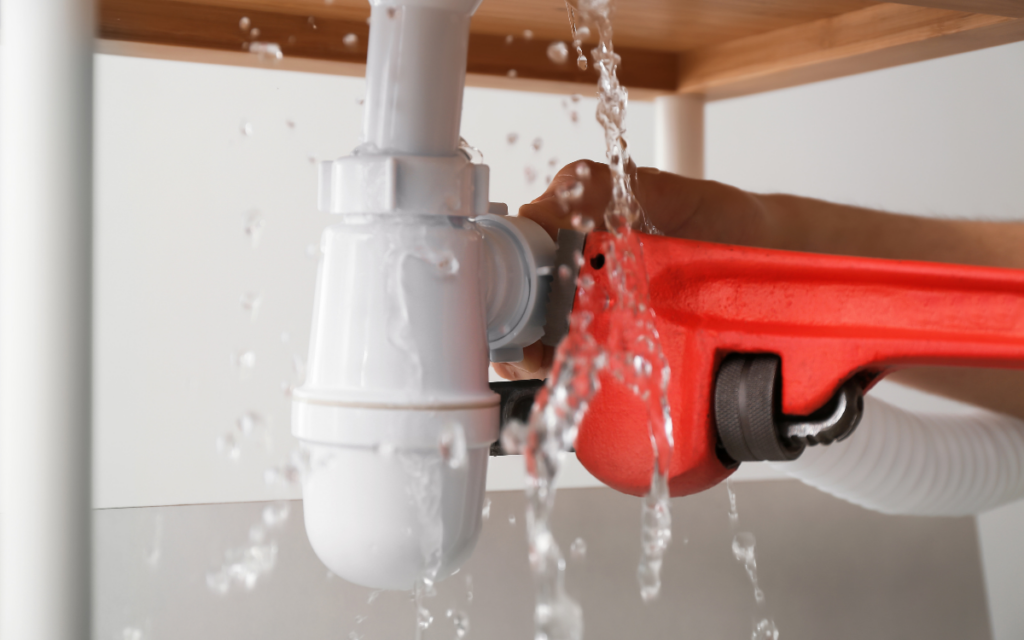 water damage assessment