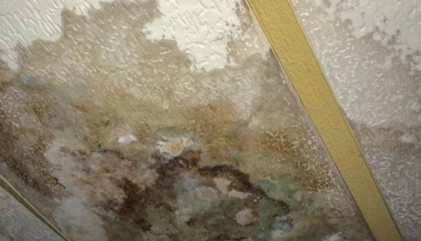 How Do I Know If Water Damage in My Fort Mill Home Is Covered by Insurance_