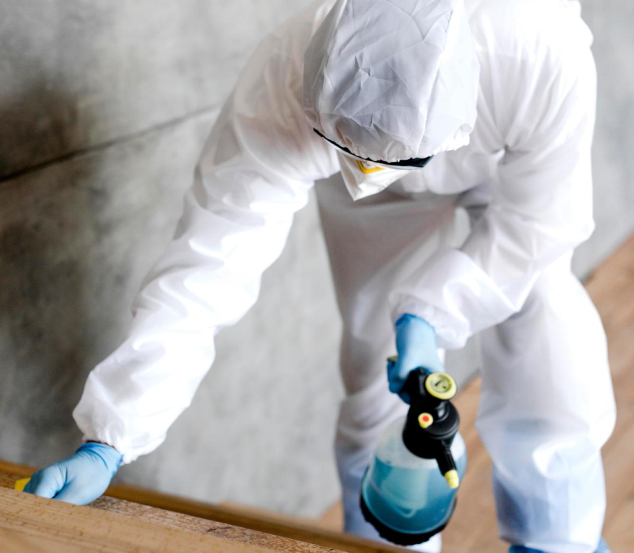 How Mold Affects Indoor Air Quality in Fort Mill Homes