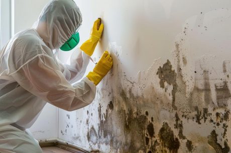 Why Timely Mold Remediation Protects Your Fort Mill Property’s Value