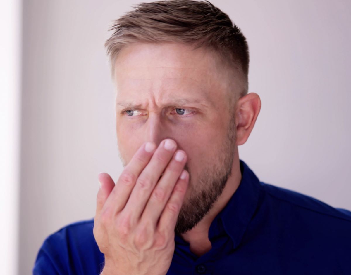 How to Find Professional Odor Removal Services Near Me in Fort Mill, SC