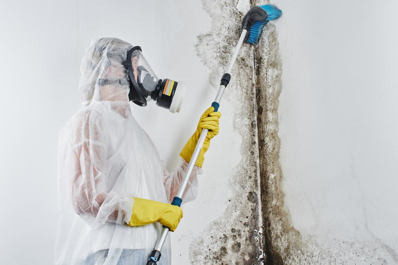What to Expect During a Professional Mold Remediation in Fort Mill, SC?
