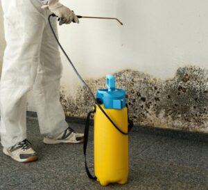 How Long Does It Take For Mold To Grow After a Water Leak_