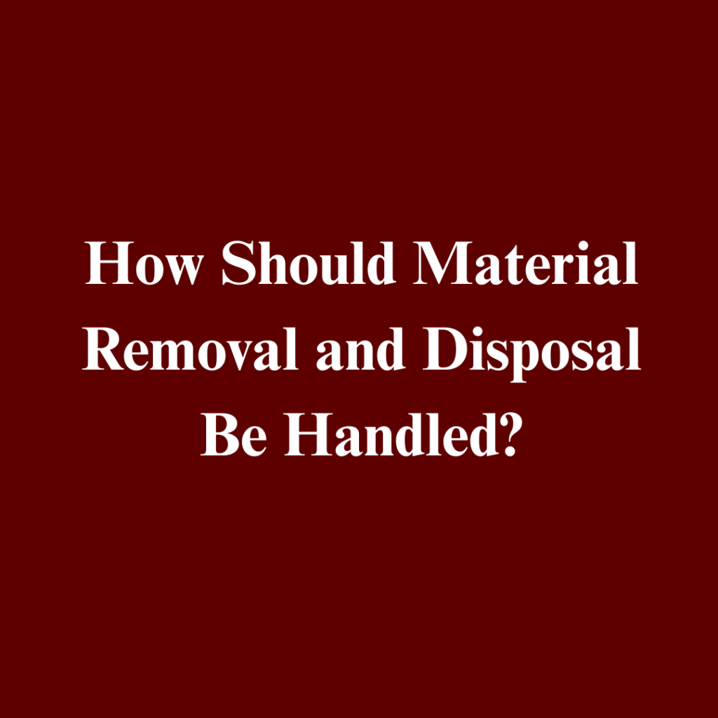 mold assessment